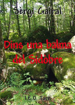 Dins una balma del Sidòbre